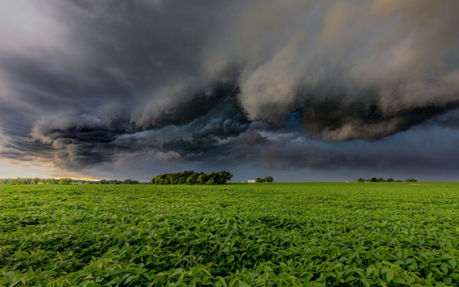 A storm cloud over a field of crops